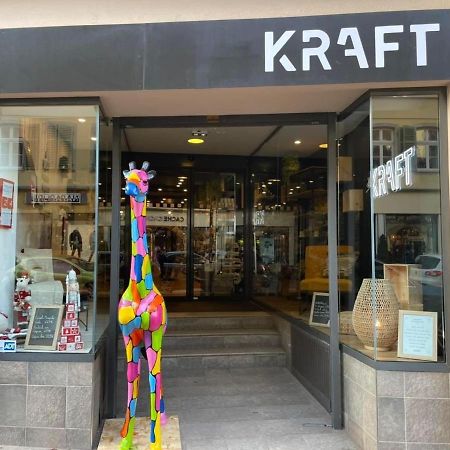 Appartements Des 2 Tetes Colmar Zewnętrze zdjęcie