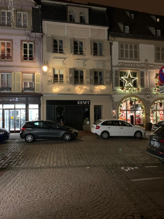 Appartements Des 2 Tetes Colmar Zewnętrze zdjęcie