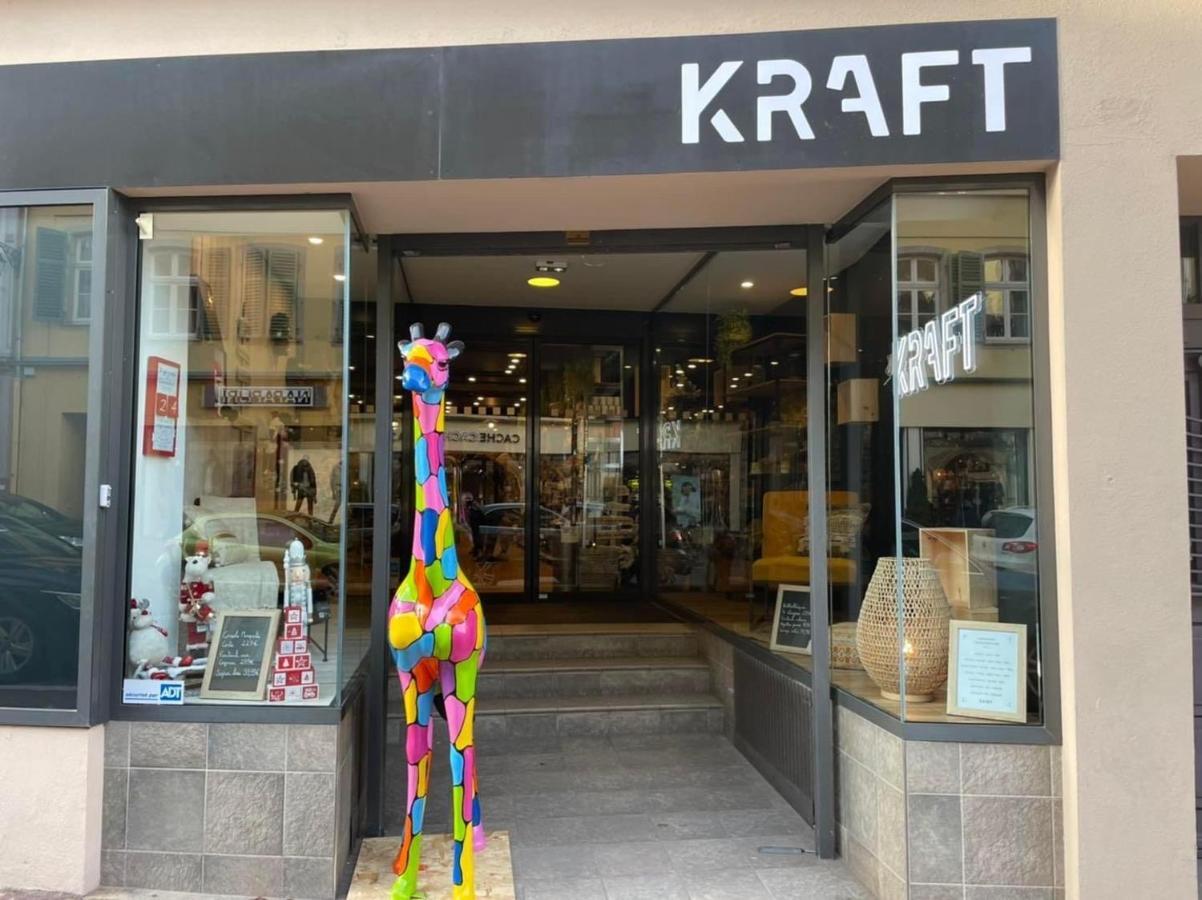 Appartements Des 2 Tetes Colmar Zewnętrze zdjęcie