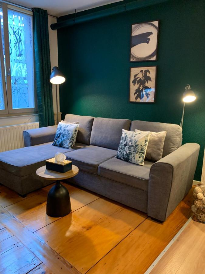 Appartements Des 2 Tetes Colmar Zewnętrze zdjęcie