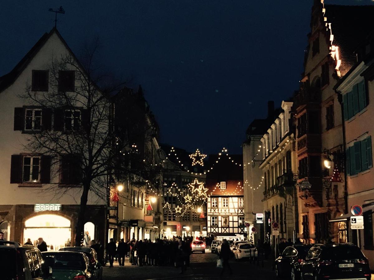 Appartements Des 2 Tetes Colmar Zewnętrze zdjęcie