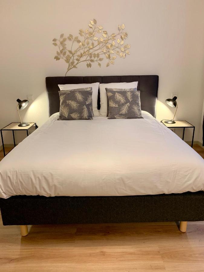 Appartements Des 2 Tetes Colmar Zewnętrze zdjęcie