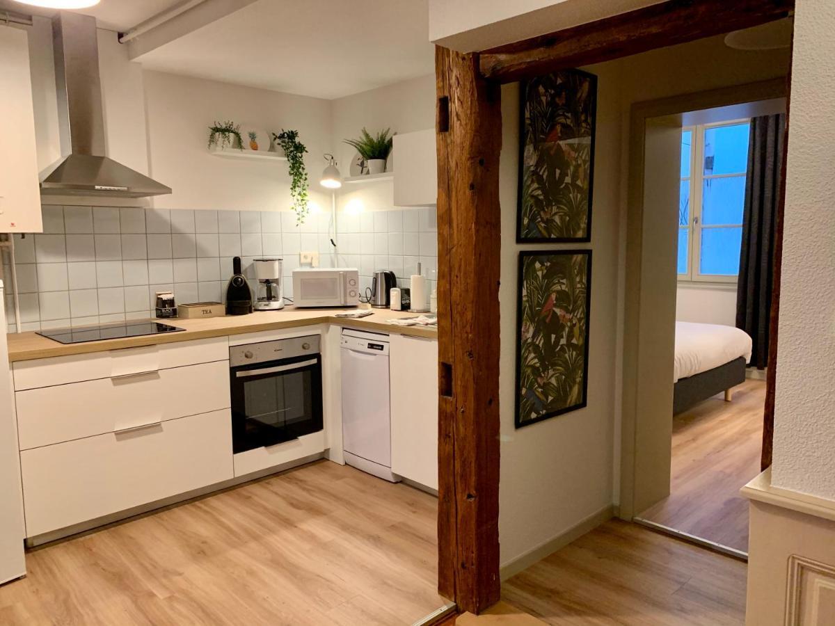 Appartements Des 2 Tetes Colmar Zewnętrze zdjęcie