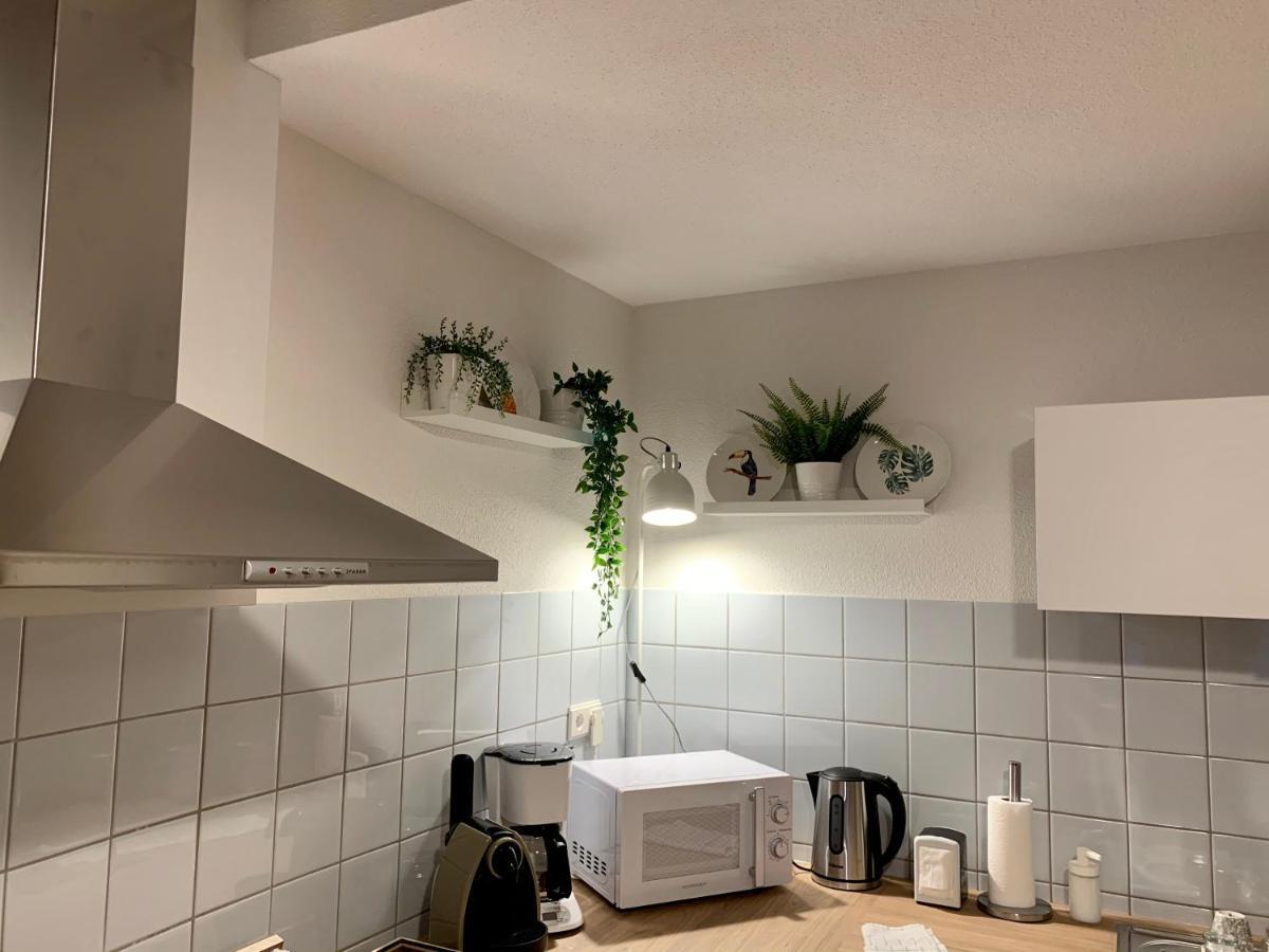 Appartements Des 2 Tetes Colmar Zewnętrze zdjęcie