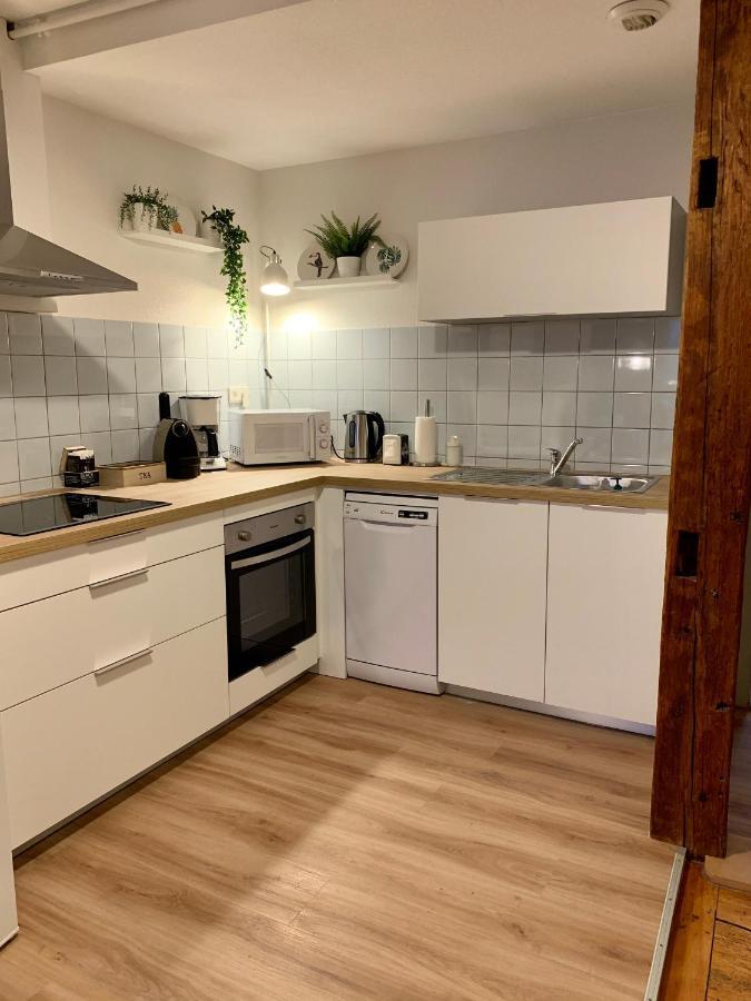 Appartements Des 2 Tetes Colmar Zewnętrze zdjęcie