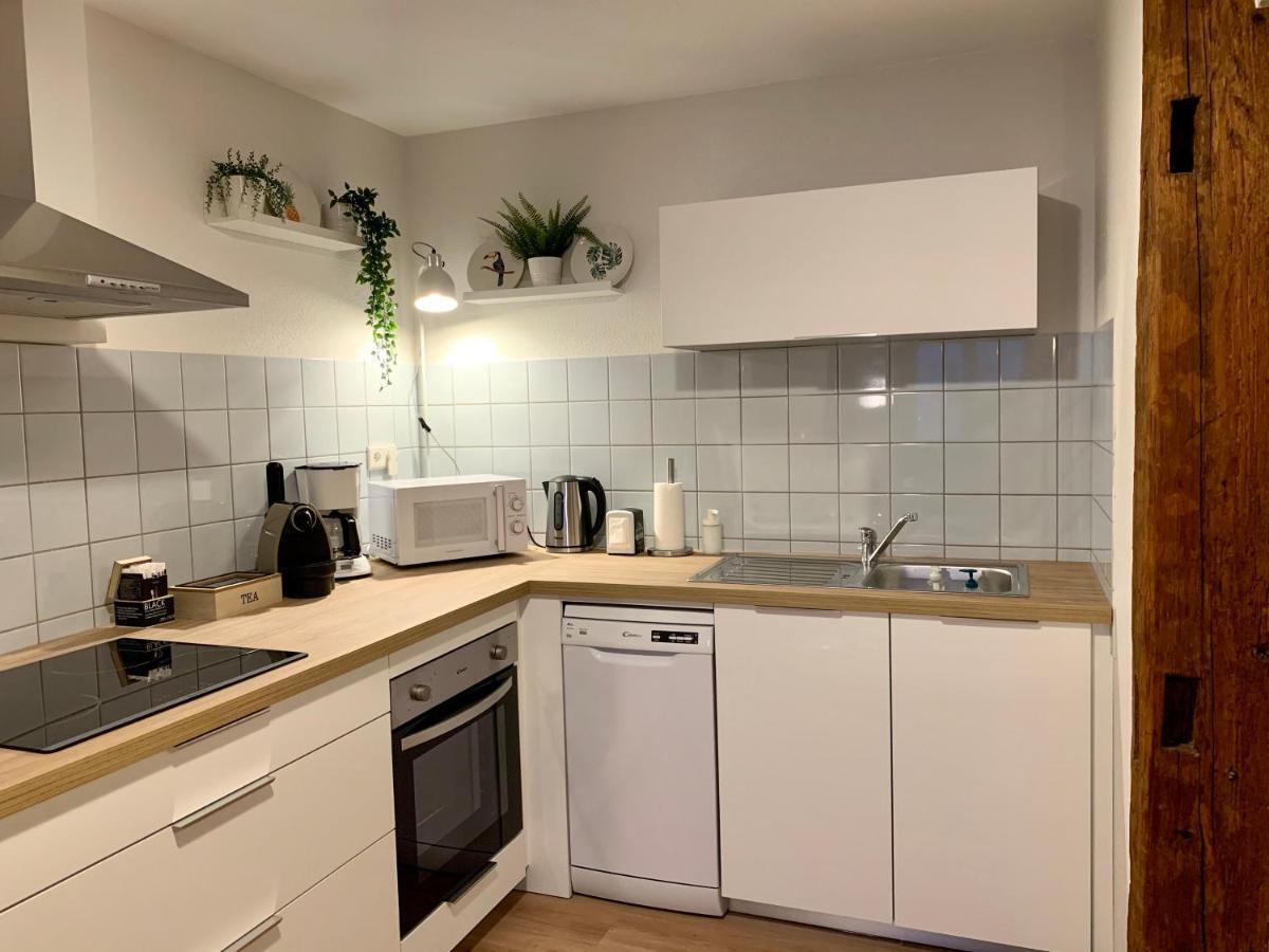 Appartements Des 2 Tetes Colmar Zewnętrze zdjęcie