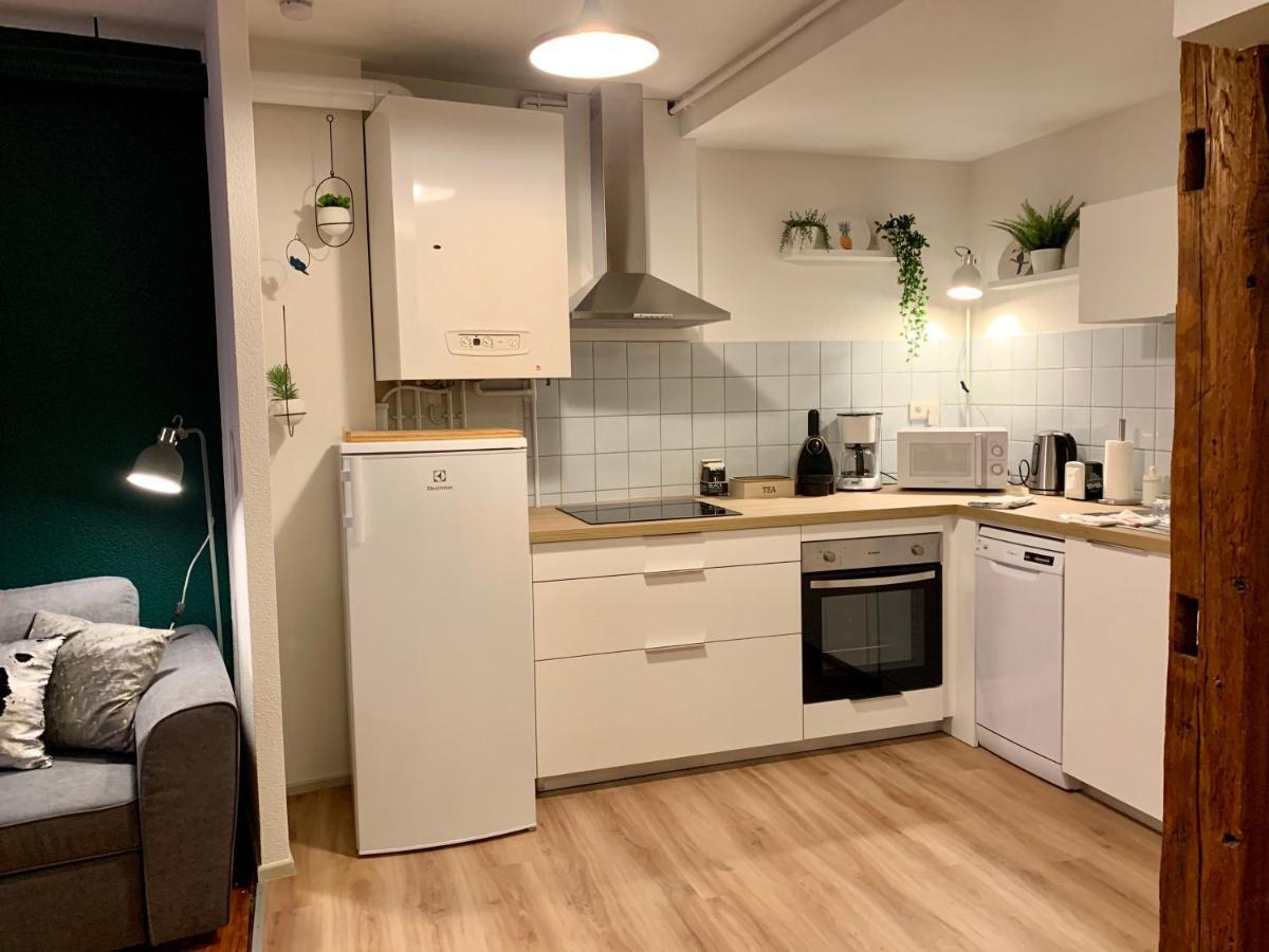 Appartements Des 2 Tetes Colmar Zewnętrze zdjęcie