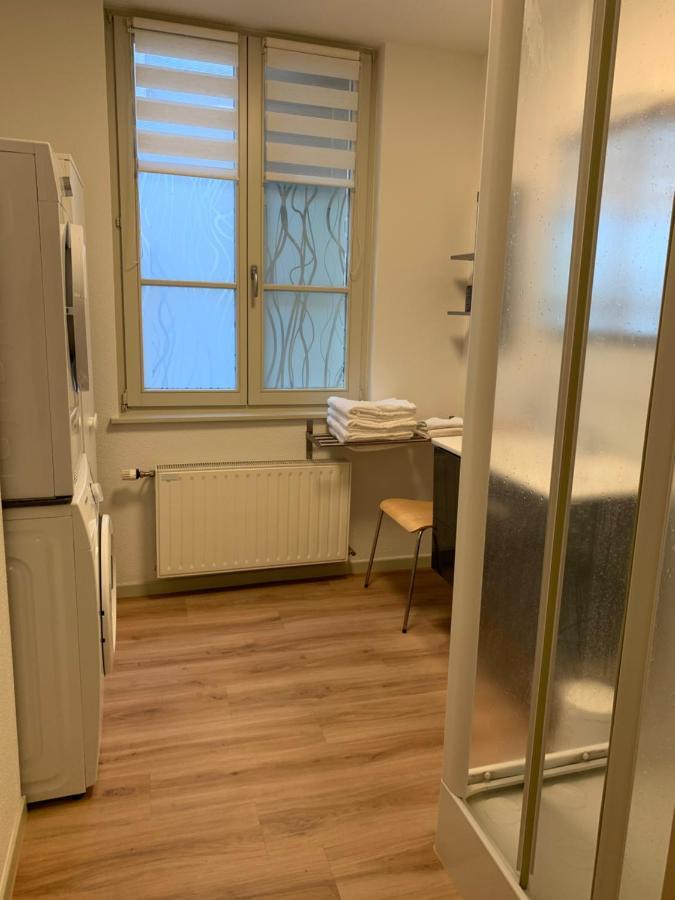 Appartements Des 2 Tetes Colmar Zewnętrze zdjęcie