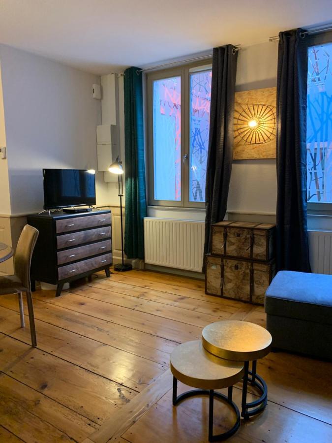Appartements Des 2 Tetes Colmar Zewnętrze zdjęcie